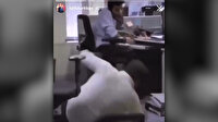 Meclis'te bütçe görüşmeleri sürerken İYİ Partili Lütfü Türkkan sosyal medya hesabından komik video paylaştı