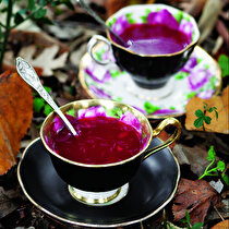 Tarçınlı Sıcak Meyve Suyu