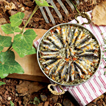  Hamsili ve Havuçlu Pilav