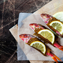 Asma Yaprağında Barbun