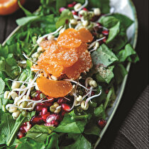 Filizlenmiş Maş Fasulyeli Roka Salatası