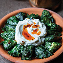 İlibada Dolması