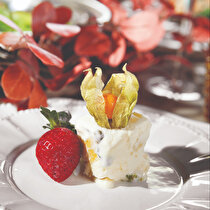 Tropik Meyveler Dondurması