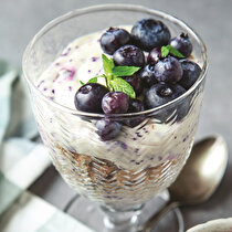 Bardakta Orman Meyveli Muhallebi