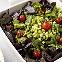 Semizotu Reyhanlı Yeşil Salata