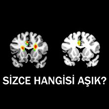 İşte cevabı!