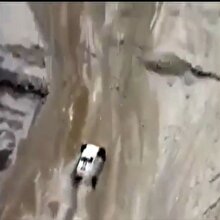Araba düz duvara tırmandı!