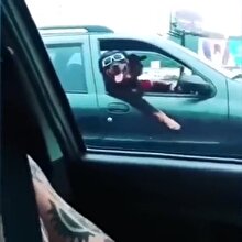 Tatile çıkan köpeğin sevimliliği