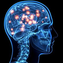 1 haftalık programla IQ seviyenizi %40 artırmak mümkün