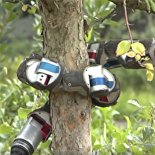 Ağaca tırmanan casus robot!