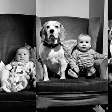 Bir babanın kadrajından en sadık dostların köpekler olduğunu kanıtlayan 24 fotoğraf