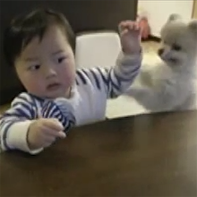 Mamayı paylaşamayan köpek ve bebek