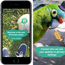 WhatsApp'a "Hikayeler" özelliği geldi!