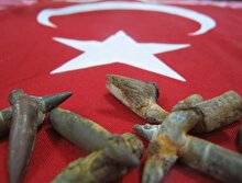 Çanakkale Destanı ile ilgili az bilinen 8 gerçek