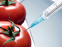 112 üründe GDO çıktı