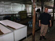 Sağlık memuru Hollanda'dan gelen patatesleri inceleyince köşeyi döndü
