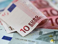 331 bin adet sahte avro banknot piyasadan çekildi