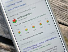 Google, alerji hastalarını polenler konusunda uyarmaya başlıyor