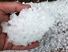 Dolu ekmek kapısı oldu: 3 bin lira maaşla yetiştirecek eleman arıyor