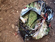 Torbacıların zulası polisi bile şaşkına çevirdi