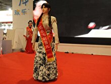 Çin'de 2017 Dünya Robot Konferansı