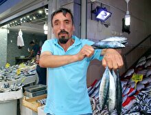 Balıkçıların umudu hamside