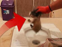 Tuvaletten gelen seslere koşan adam gördüğü şey karşısında şoke oldu