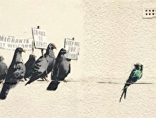 Banksy sanatının seçkin fotoğrafları böyle derlendi