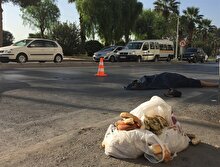 Kuşları yemlemeye giden emekli albay kazada hayatını kaybetti