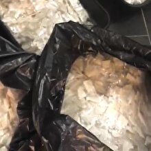 Brezilya polisinin yakaladığı kokain paketleme makinesi görenleri şoke etti