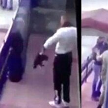 Kediye işkence yapmıştı şimdi de polisi yaraladı!