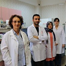 Sirkeden izole ettikleri bakteri birçok alanda kullanılacak