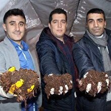 3 arkadaş internette görüp girdikleri işten ayda 15 bin lira kazanıyor