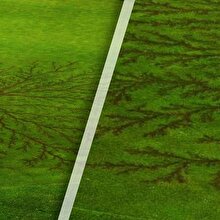 Golf sahasına yıldırım düşerse ne olur?