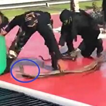 Özel birliklerin yılan kanı içerek yaptığı gösteri