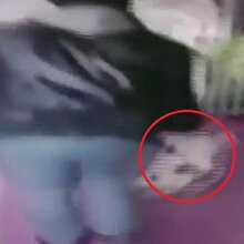 Hamile kediyi önce yere vurdu sonra tekmeledi!