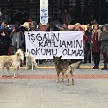 Boğaziçi Üniversitesi’nde terör sevici öğrencilerden Afrin şehitlerine hakaret