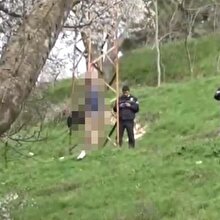 Ormana ağaç dikmeye gitti gördükleri karşısında dehşete düştü