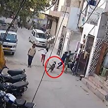 Küçük çocuğa saldıran pitbull dehşet saçtı