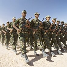 Polisario Cephesi