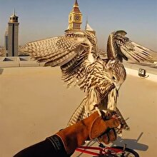 Bmx bisikletiyle Dubai'yi gezen adam!