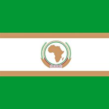 30 Afrika ülkesi bir araya gelerek Afrika Birliği Örgütü'nü kurdu