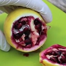 Limonla nar tohumlanırsa ortaya nasıl bir şey çıkar?