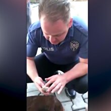Kalp masajıyla serçeyi hayata döndürdü