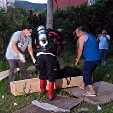 Buzdolabı dehşeti! Kötü kokuların geldiği buzdolabından vahşet çıktı