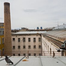 "Galiba deliriyorum"
