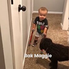 Yürüme engelli çocuğun ilk adım sevincini köpeği ile paylaştığı anlar