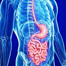 Dünya Gastroenteroloji Kongresi, gelecek yıl İstanbul'da yapılacak