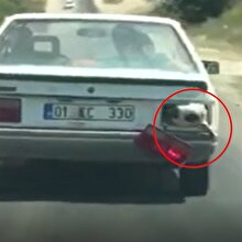 Bagajda taşınanı koyunun nefes alması için ilginç çözüm
