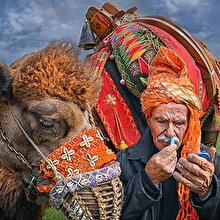 19. Uluslararası Altın Safran Belgesel Film Festivali'nin programı belli oldu